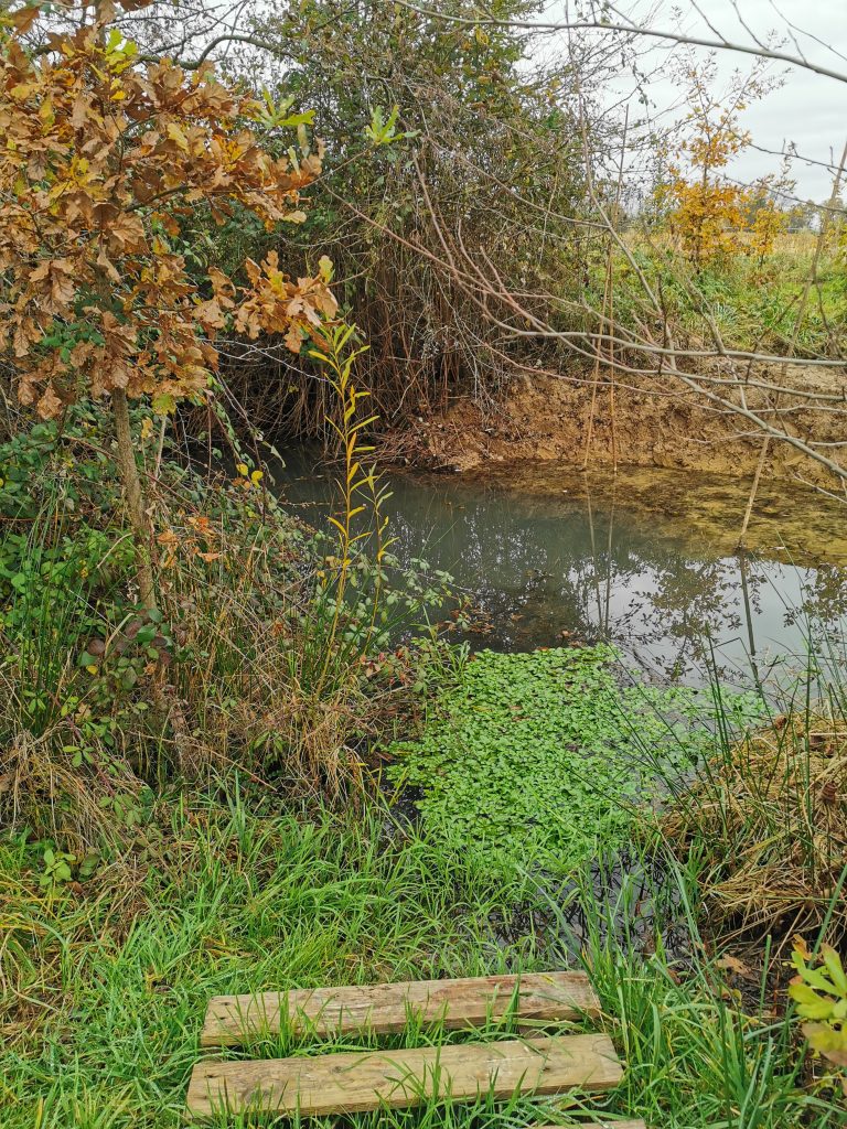 respect_de_la_biodiversite_la_vie_a_barand