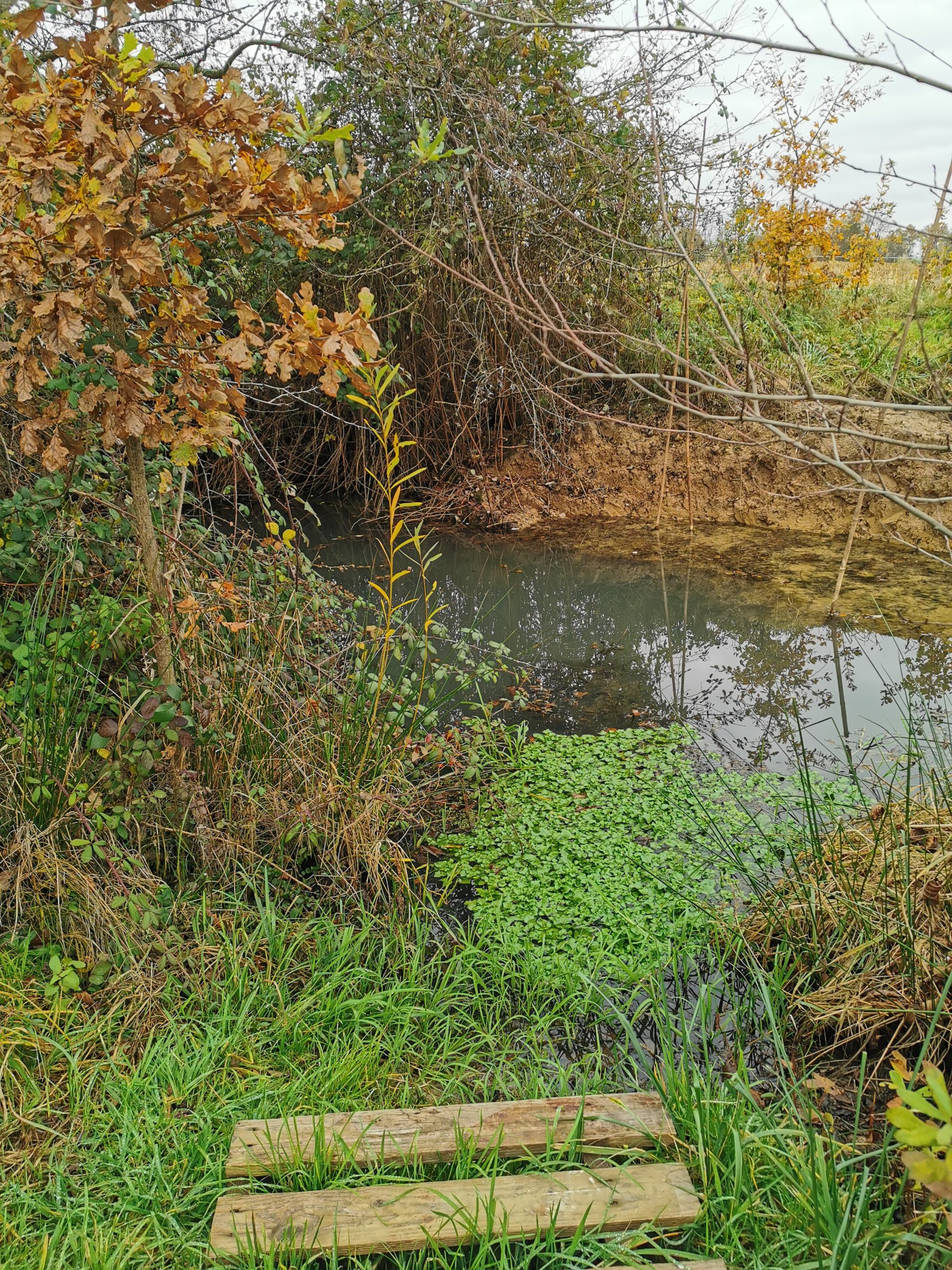 respect_de_la_biodiversite_la_vie_a_barand